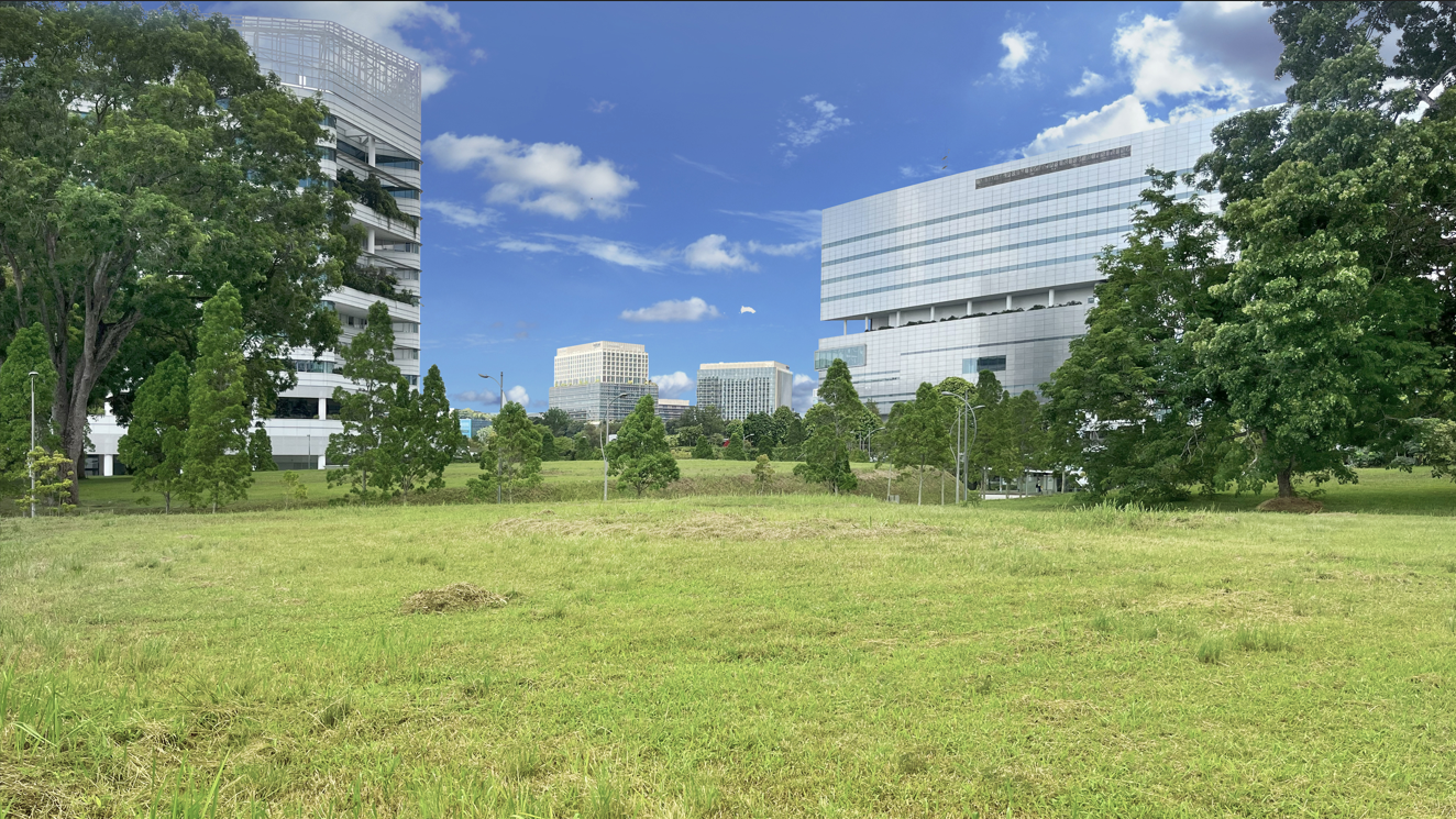 A large green lawn with trees and modern buildings under a blue sky with clouds.